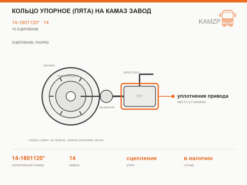 Кольцо упорное (пята) на КАМАЗ завод, каталожный номер 14-1601120*