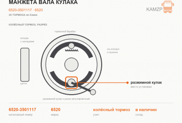 Манжета вала кулака фото
