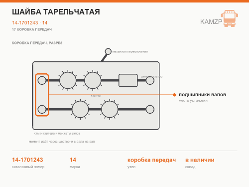 Шайба тарельчатая фото
